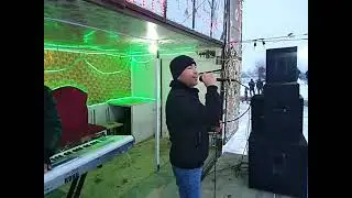 ТУЯ ТАМОШО КУНЕД ДАР 22 ГРАДУС МИНУС