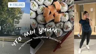 Обязательные предметы на «международном бизнесе» в Финляндии | день из жизни студента