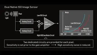 Dual ISO System - Che cos'è.