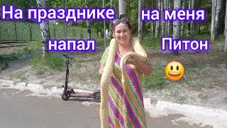 7.Что делает питон на празднике Гербер?🐍What does a python do at  Gerber festival?🐍