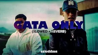GATA ONLY (Perfectly Slowed & Reverb) - Ezioddma