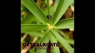 QetsalKoatl - Zwierzyniec Niebieski
