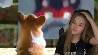 GAECHKATM СМОТРИТ - UNUSUAL MEMES COMPILATION V108