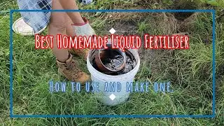 Best Homemade Liquid Fertiliser - How to Use and Make Compost Tea #gardening #growyourownfood