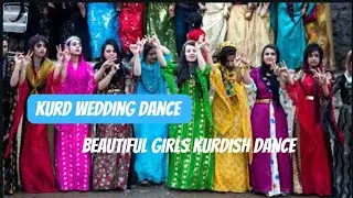 Kurd wedding dance beautiful girls Kurdish dance