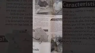 La Historia Del Monstruo Del Cerro Del  Miñaca