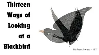 13 Ways Of Looking At A Blackbird.  Wallace Stevens. Narrated Visual Poem.