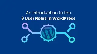 An Introduction to the 6 User Roles in WordPress