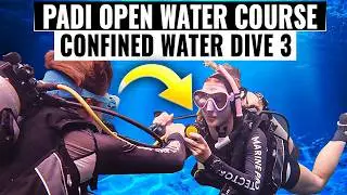 PADI Open Water Course: Dive 3 Confined Water Skills to Help You Become a Better Scuba Diver 🤿