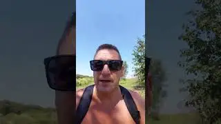 Figyelnek a mókusok