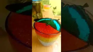 Цетозия библис и парусник Палинур кормятся 🦋🦋❤️👍