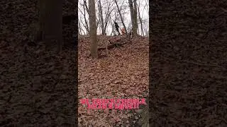 RC Truck tumbles down the hill! #shorts