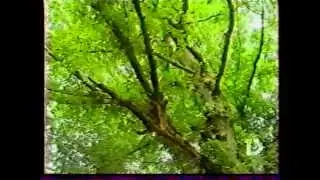 Балабег Балаев - "АкI лугьумир"