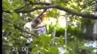 sep06-boompje_snoeien-cs.wmv