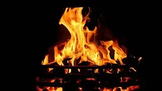 GLEAMING WITH MY SWAMP BEAT (FIRE)