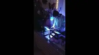 DJ Martel