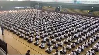 Домбристы