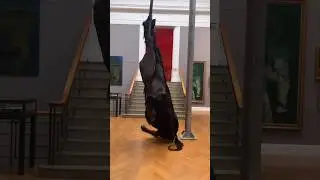Obra de Arte choca moradores da cidade de Adelaide na Austrália 🇦🇺 O que você acha?