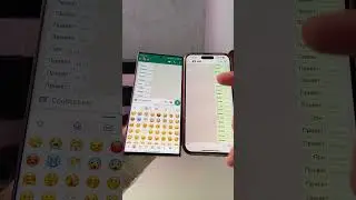 Обновление от WhatsApp только для iPhone 