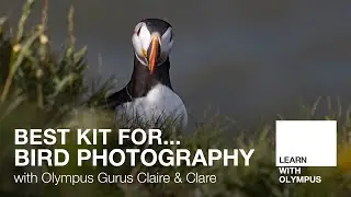 Best Kit for... Bird Photography - with Claire & Clare