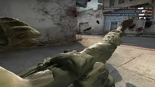 HL DUST 2