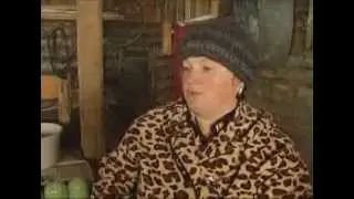 Домашняя ферма   Свиньи