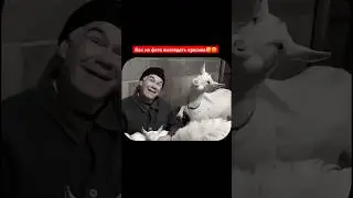 Лучшая поза🔥🐐 
