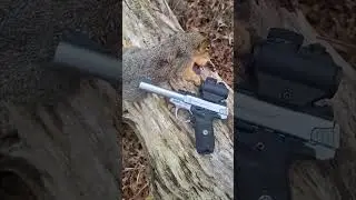 Pistol Squirrel Hunt One Hand Double Tap