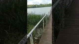 База отдыха "белые росы"