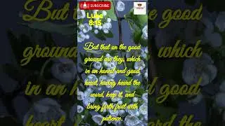 How to promote a good soil ?