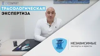 Трасологическая экспертиза при ДТП в Москве и области