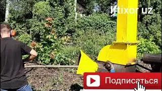 dirabilka