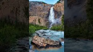 45 Sec Fall Asleep instantly 🏵️ Relaxing music, Sleep music(2023)#shorts #ytshort #relaxingmusic