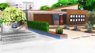 Modern house 