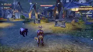 The Elder Scrolls Online PS4