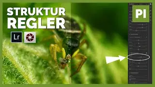 NEUE FUNKTION in Adobe LIGHTROOM ➡️ Der STRUKTUR-REGLER ❗