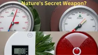Neem: Benefits Beyond Blood Sugar Control (Weight Loss, Liver Health & More!)