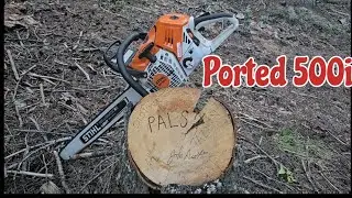 Falling Douglas Fir. Ported 500i. #stihl #firewood #logging #chainsawman