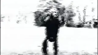 clip.095