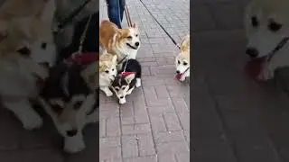 Семейная прогулка💝