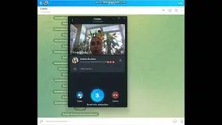 Новинки телеграмм! Как провести трансляцию, включить видео с картинками и многое другое.