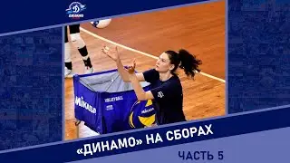 Анастасия Жаброва: 