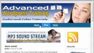 4 - Turning Wordpress Into A CMS