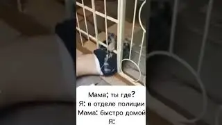 #like #shortvideo