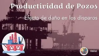 Efecto del dano en los disparos en la productividad de pozos [Productividad]