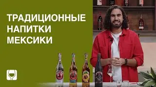 Мескаль и Текила: в чем отличия мексиканских напитков из агавы?