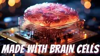 AI Computers With Mini Brain Chips Are Coming In 2024