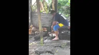 Bro maze 2015 valu popo