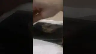Извиняюсь за долгое отсутствие :_