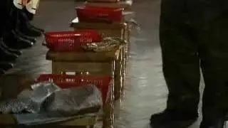 Школа для вас закончилась!!